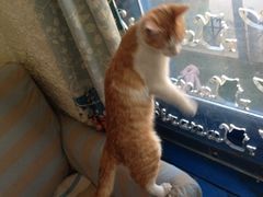 iphone_upload_pic-Sirena海妖日咖夜酒