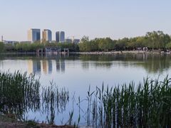 -大兴滨河森林公园