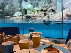 -帝企鹅自助餐厅•儿童岛•真企鹅(长隆企鹅酒店)