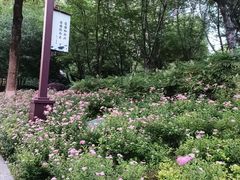 -堤角公园
