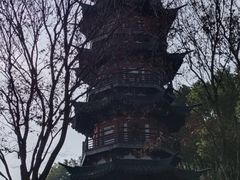 -上海佘山国家森林公园西佘山园