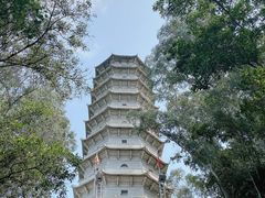 -深圳国际园林花卉博览园