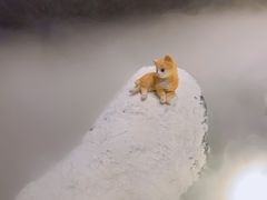 -将太无二·北美传奇寿司(荟聚购物中心西红门店)
