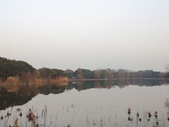 -上海市保健医疗中心