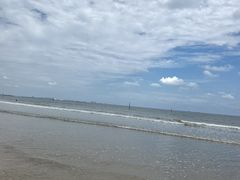 -日照海滨国家森林公园