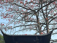 -紫云谷景区