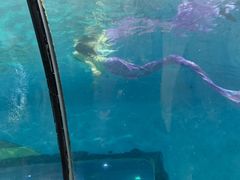 -苏州海洋馆