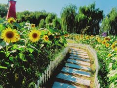 -廊坊文化艺术中心