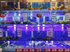 -香满居张记小厨私房菜(青岛站店)