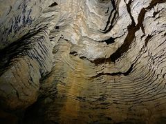 -怀托摩萤火虫洞