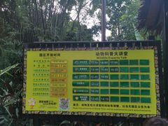 -广州长隆飞鸟乐园