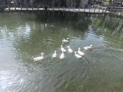 -石家庄市动物园