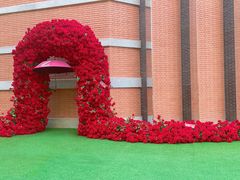 -西安电影制片厂