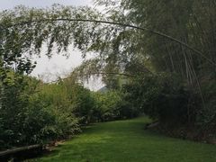 -宁波浙东大竹海景区