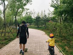 -东郊湿地公园