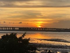 -宝安西湾红树林湿地公园