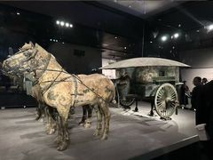 -秦始皇兵马俑博物馆-停车场
