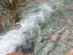 -西岭雪山大飞水景区