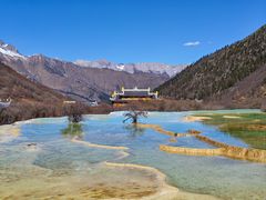 -黄龙山原始森林景区