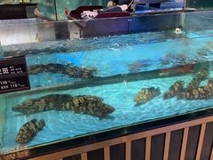 -都市阳光海鲜城(青山湖店)