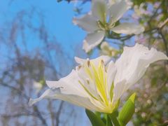 -广东花都湖国家湿地公园