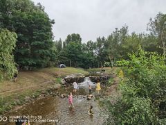 -长白岛森林公园