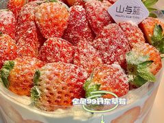 -山与蓝·轻糖鲜果蛋糕(勒泰店)