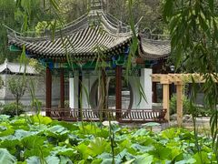 -莲湖公园