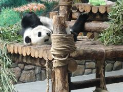 -青藏高原野生动物园
