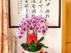 -豆豆花艺(新光天地店)