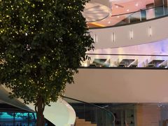 -皇朝尊会(龙之梦大酒店)