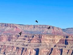 -科罗拉多大峡谷