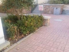 -大学路8号炸串(大学路十四号院店)