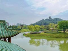 -王借岗森林公园