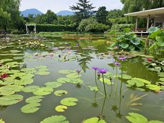 -国家植物园南园