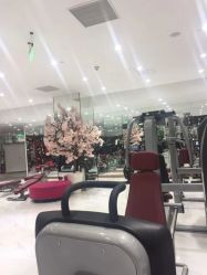 -葆姿普拉提·瑜伽