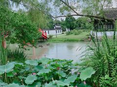 -扬州大运河文化旅游度假区·盆景园