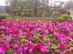 -铁山坪森林公园