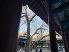 -张学良旧居陈列馆