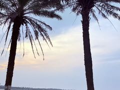 -锁江楼