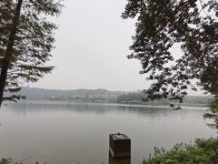 -白云湖畔酒店-湖畔餐厅