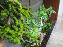 -俏东方·海味水饺·青岛菜(崂山店)