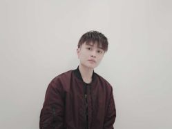 -YESIDO椰岛造型