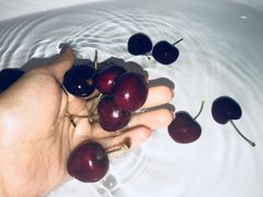 -百果园PAGODA(西四地铁站店)