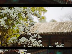 -颐和园