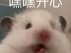 -金逸影城(广州海珠城激光IMAX店)