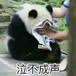 -薇漫里纹眉半永久连锁品牌