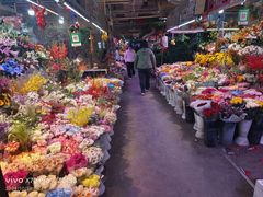 -花鸟鱼虫鲜花绿植市场(玉泉路店)