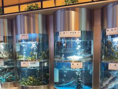 -老船舫·现做活鲜鱼馆(东郊记忆店)