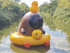 -黄海国家森林公园